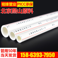 跆拳道段位