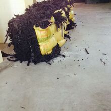合揽13球!哈兰德凯恩世界杯八强相遇
