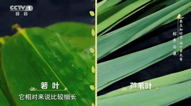 马拉松号码牌佩戴方法