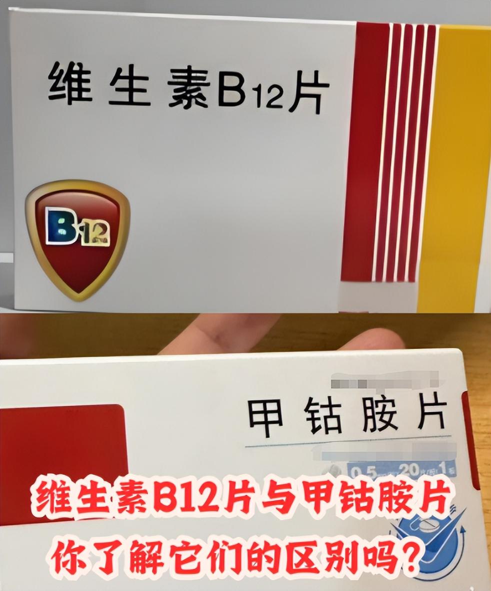 既卖飞行汽车又教开!小鹏汇天西部首个6S店落户成都